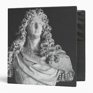 Bust of Louis XIV  c.1678-81 Binder