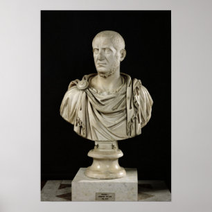 Bust of Marcus Claudius Tacitus Poster