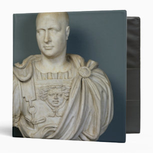 Bust of Publius Cornelius Scipio 'Africanus' Binder