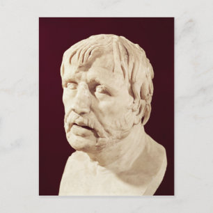 Bust of Seneca Postcard