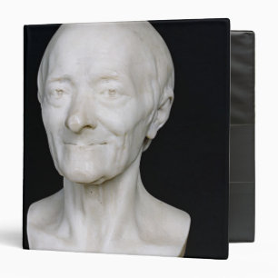 Bust of Voltaire without his wig, 1778 Binder