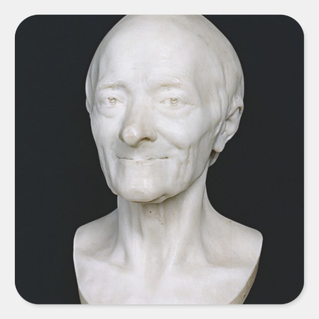 Bust of Voltaire  without his wig, 1778 Square Sticker (Front)