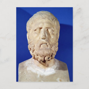 Bust of Zeno of Citium Postcard