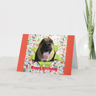 Bust Out German Shepherd Carte de voeux d'annivers