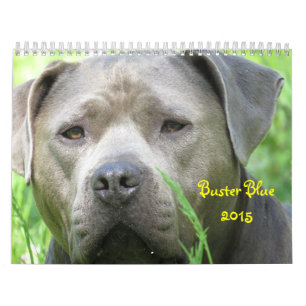 Buster Blue 2015 Calendar