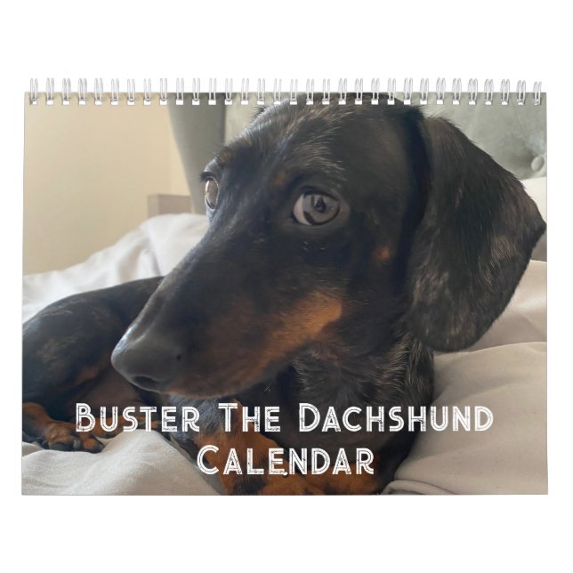 Buster the Dachshund Calendar (Cover)