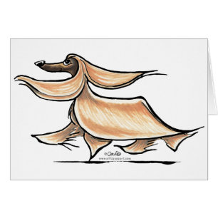 Busy Afghan Hound
