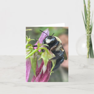 Busy as a Bee Announcement