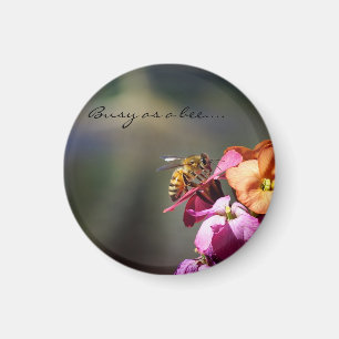 Busy as a Bee reward... Magnet