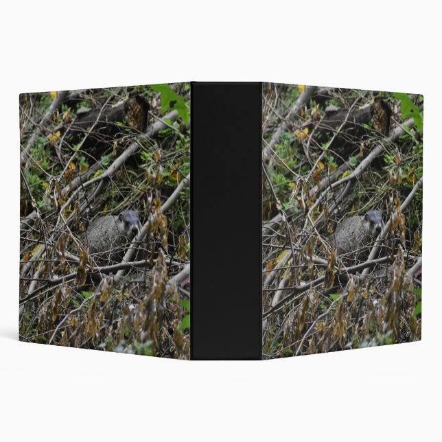 Busy Beaver Binder (Background)