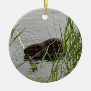 Busy Beaver Ceramic Ornament