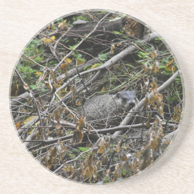 Busy Beaver Coaster (Front)