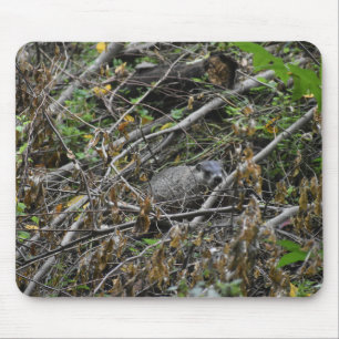 Busy Beaver Mouse Pad