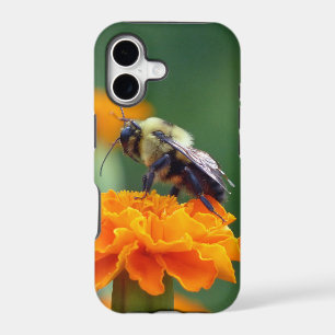 Busy Bee