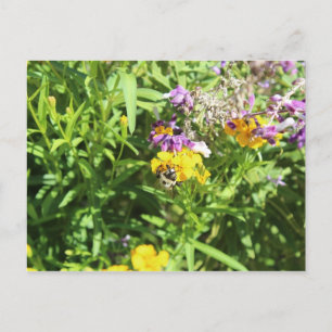 Busy Bee # 1 Postcard