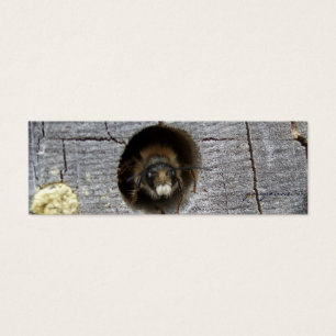 busy bee bookmark