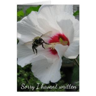 Busy Bee Card