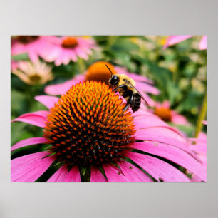 Busy Bee II Poster
