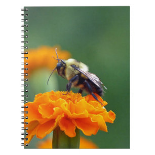 Busy Bee Notebook
