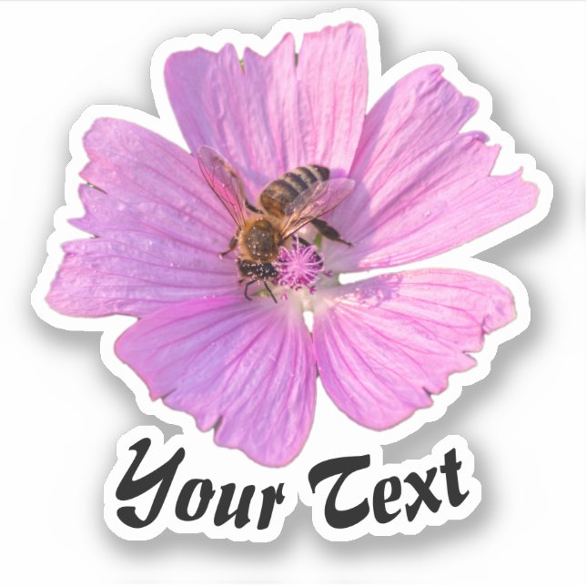 Busy bee on pink flower petals floral spring time (Front)