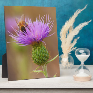 Busy Bee On Purple Thistle Plaque