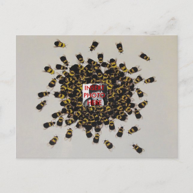 Busy Bee PHOTO INSERT ~ Carte postale (Devant)