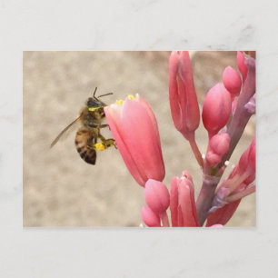 Busy Bee Postcard