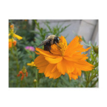 Busy Bee Postcard - by Cottagevale