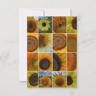 Busy Bee Sunflower Collage Card