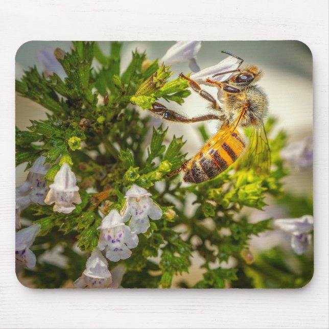 Busy Bee working hard Mouse Pad (Front)