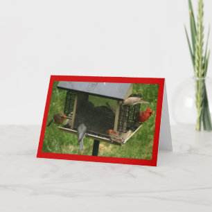 Busy Bird Feeder Card