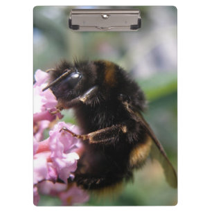 Busy Bumblebee and Pink Flowers Clipboard