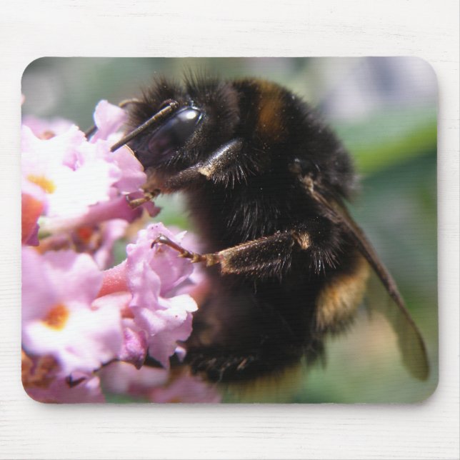 Busy Bumblebee and Pink Flowers Mousepad (Front)