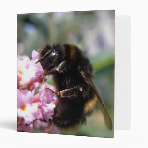 Busy Bumblebee and Pink Flowers Photo Album Binder