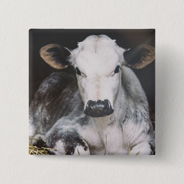 Busy Day Crop 2 Inch Square Button (Front)