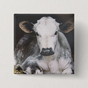Busy Day Crop 2 Inch Square Button