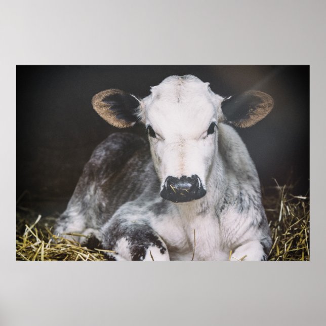 Busy Day Crop Poster (Front)