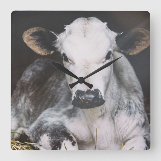 Busy Day Crop Square Wall Clock (Front)