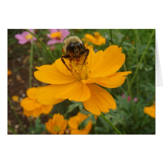 Busy lil Bee Sympathy Card
