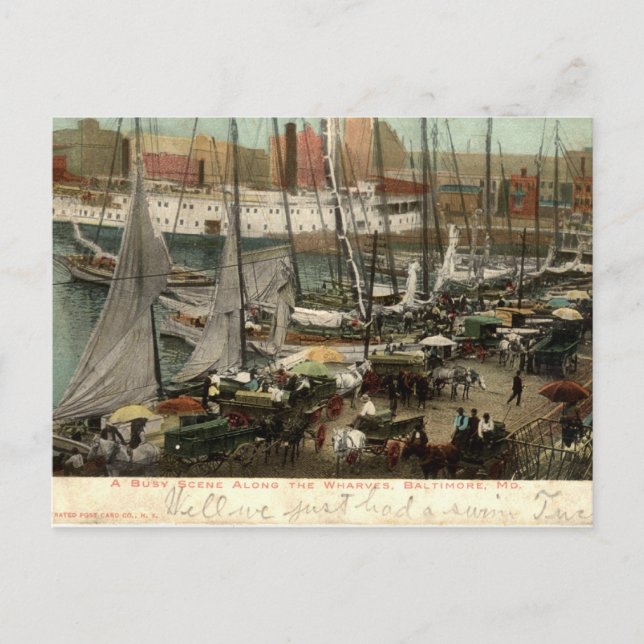 Busy Scene Along the Wharves, Baltimore, MD 1905 Postcard (Front)