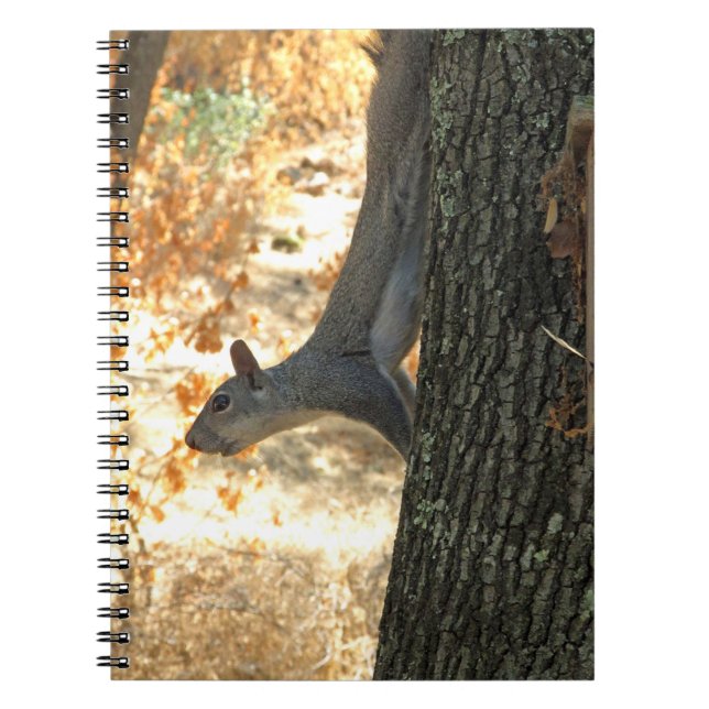 Busy Squirrel Notebook (Front)