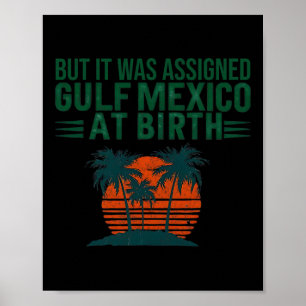 But It Was Igned Gulf Of Mexico At Birth Retro Vin Poster
