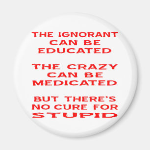 But There's No Cure For Stupid Magnet