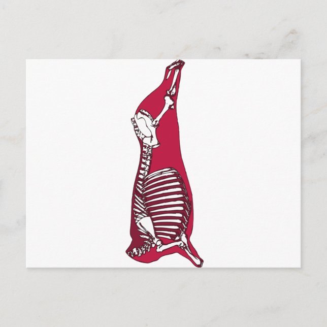 BUTCHER ANATOMY POSTCARD (Front)