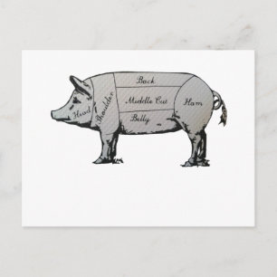 Butcher Pig Diagram Postcard