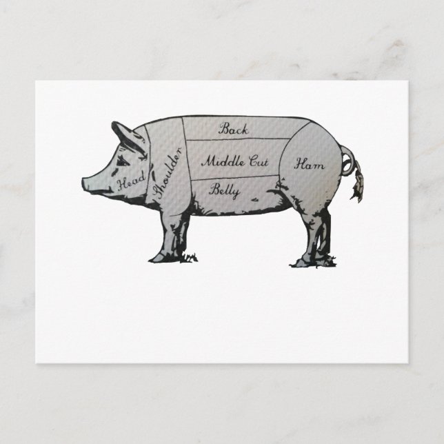 Butcher Pig Diagram Postcard (Front)