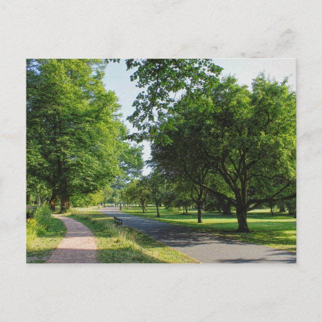 Bute Park, Cardiff, Wales. Carte postale (Devant)