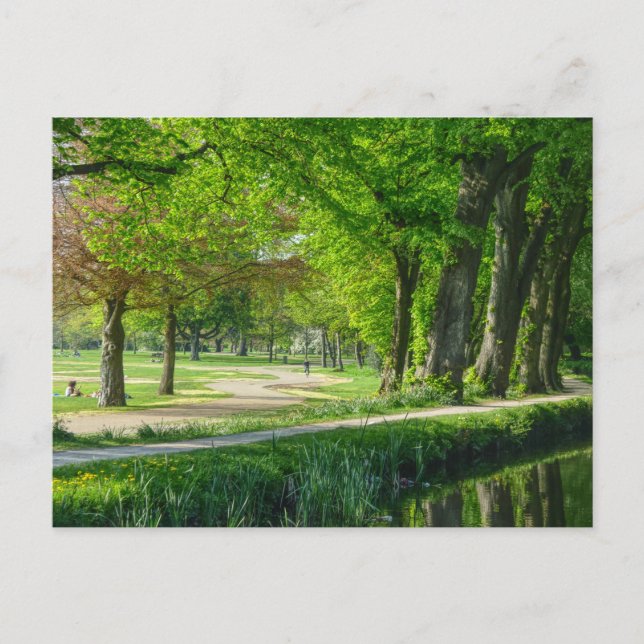 Bute Park, Cardiff, Wales. Postcard (Front)