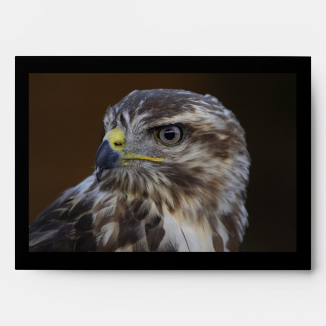 Buteo buteo envelope (Front)