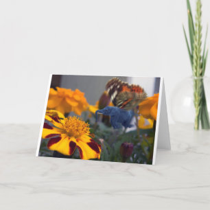 Buttephant Card